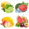 Lemon Lime | Watermelon Ice | Peach Mango | Love 66