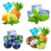 Mojito | Lemon Mint | Blueberry Ice | Coco Loco