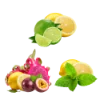 Lemon Lime | Lemon Passion Fruit | Lemon Mint
